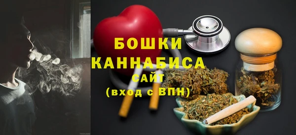 индика Пестово