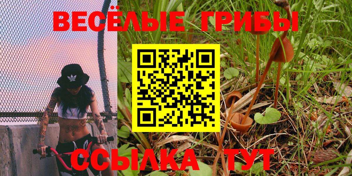 Псилоцибиновые грибы ЛСД Углич