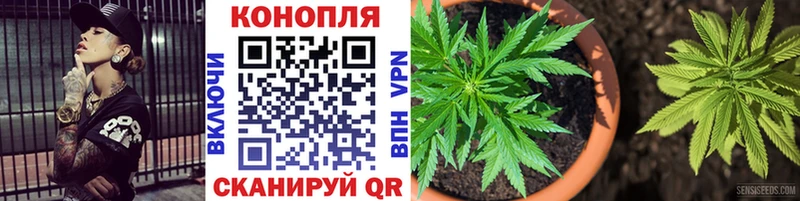 omg   Углич  Марихуана SATIVA & INDICA 
